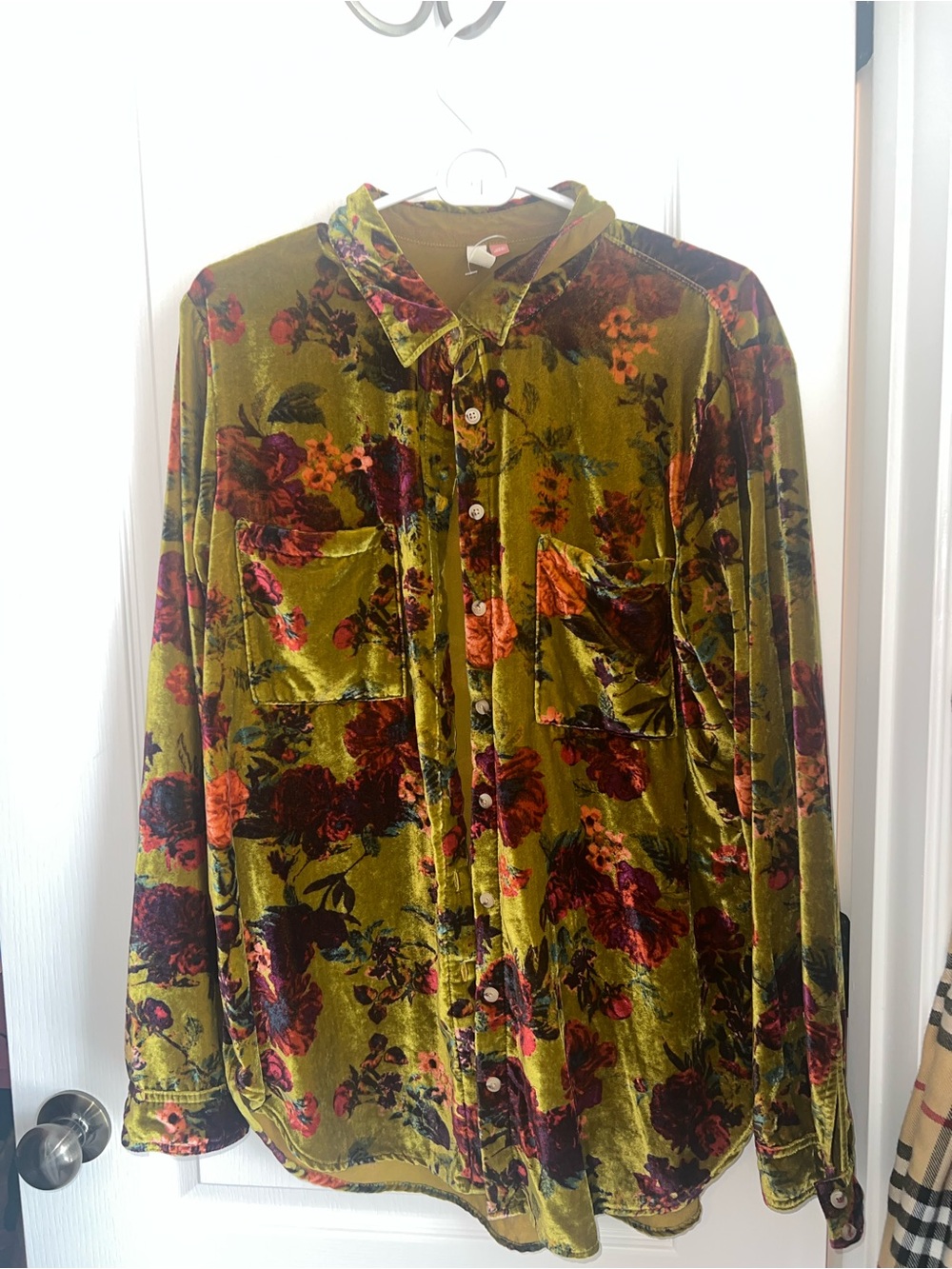 Anthropologie Pilcro Hadley Floral Velvet Button Down Shirt Large